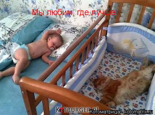 Котоматрица: Мы любим, где лучше