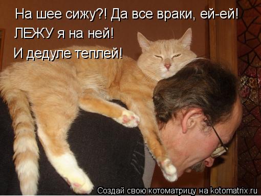 Котоматрица: На шее сижу?! Да все враки, ей-ей! ЛЕЖУ я на ней! И дедуле теплей!