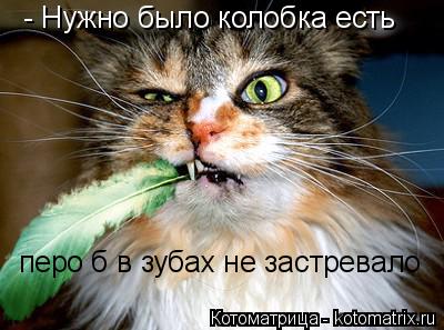 Котоматрица: - Нужно было колобка есть перо б в зубах не застревало