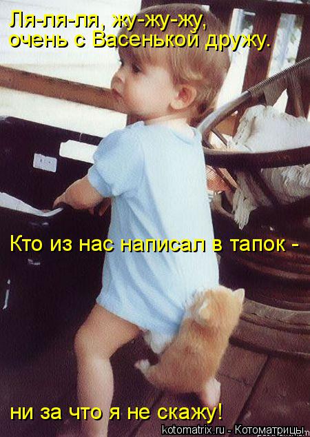 Котоматрица: Ля-ля-ля, жу-жу-жу,  очень с Васенькой дружу. Кто из нас написал в тапок -  ни за что я не скажу!