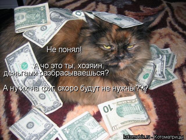 Не понял! деньгами разбрасываешься? А чо это ты, хозяин, А ну их на фиг, скоро будут не нужны???... Котоматрица: Не понял! деньгами разбрасываешься? А чо это ты, хозяин, А ну их на фиг, скоро будут не нужны???