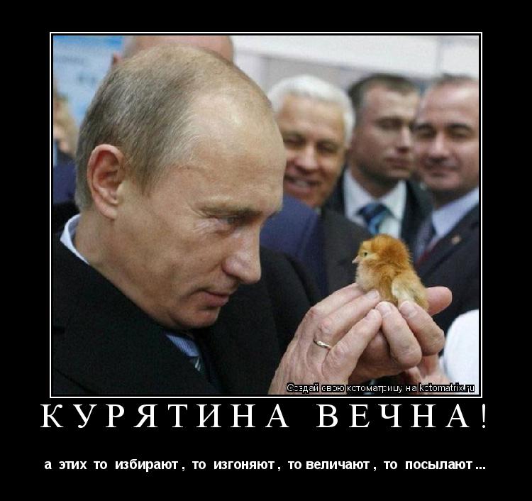 Котоматрица: КУРЯТИНА ВЕЧНА! а  этих  то  избирают ,  то  изгоняют ,  то величают ,  то  посылают ...