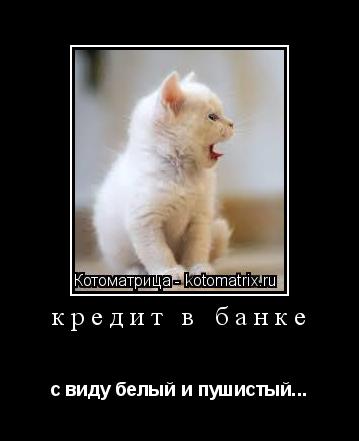 Котоматрица: кредит в банке с виду белый и пушистый...