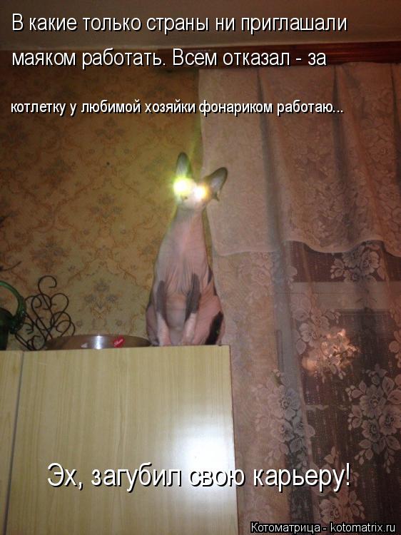 Котоматрица: В какие только страны ни приглашали  маяком работать. Всем отказал - за котлетку у любимой хозяйки фонариком работаю...  Эх, загубил свою карь