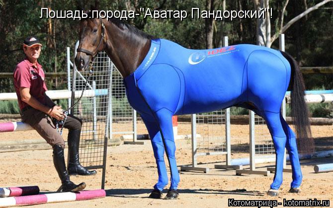 Лошадь:порода-"Аватар Пандорский"!... Котоматрица: Лошадь:порода-"Аватар Пандорский"!