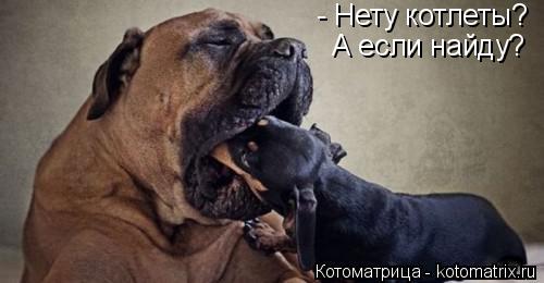 Котоматрица: - Нету котлеты? А если найду?