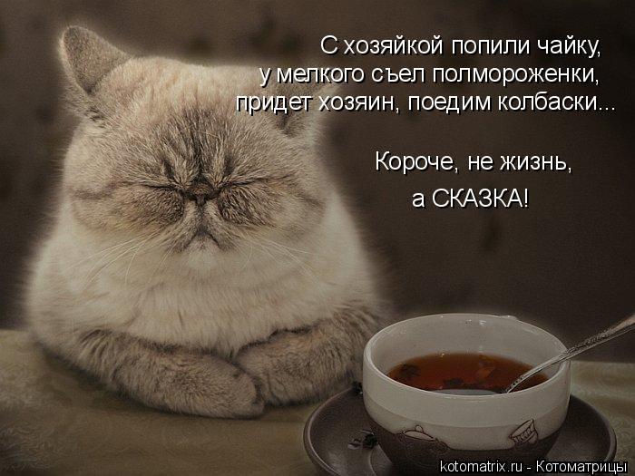 Котоматрица: С хозяйкой попили чайку,  у мелкого съел полмороженки,  Короче, не жизнь,  а СКАЗКА! придет хозяин, поедим колбаски...