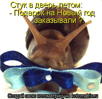 Стук в дверь летом: - Подарок на Новый год заказывали ?...... Котоматрица: Стук в дверь летом: - Подарок на Новый год заказывали ?...