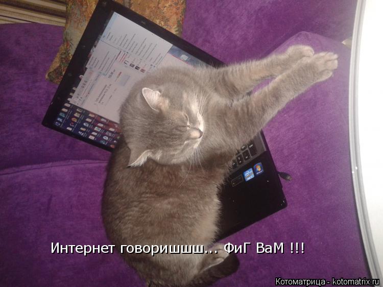 Интернет говоришшш... ФиГ ВаМ !!!... Котоматрица: Интернет говоришшш... ФиГ ВаМ !!!