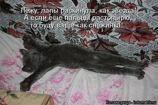 Лежу, лапы раскинула, как звезда! А если еще пальцы растопырю, то буду ваще как снежинка!... Котоматрица: Лежу, лапы раскинула, как звезда! А если еще пальцы растопырю, то буду ваще как снежинка!