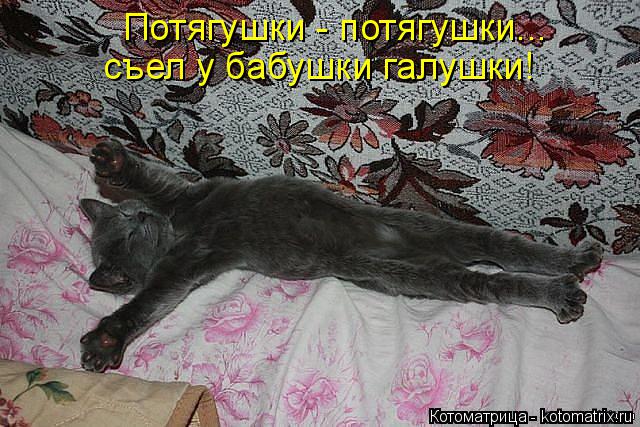 Потягушки - потягушки... съел у бабушки галушки!... Котоматрица: Потягушки - потягушки... съел у бабушки галушки!