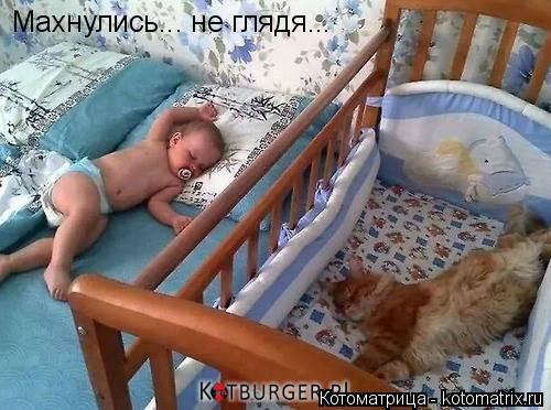Котоматрица: Махнулись... не глядя...