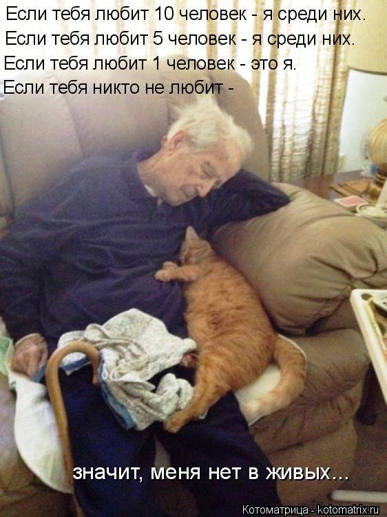 значит, меня нет в живых... Если тебя любит 10 человек - я среди них. Если тебя любит 5 человек - я с... Котоматрица: значит, меня нет в живых... Если тебя любит 10 человек - я среди них. Если тебя любит 5 человек - я среди них. Если тебя любит 1 человек - это я. Если