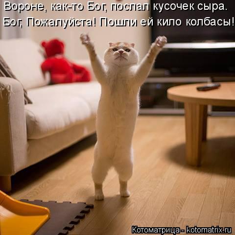 Вороне, как-то Бог, послал кусочек сыра. Бог, Пожалуйста! Пошли ей кило колбасы!... Котоматрица: Вороне, как-то Бог, послал кусочек сыра. Бог, Пожалуйста! Пошли ей кило колбасы!