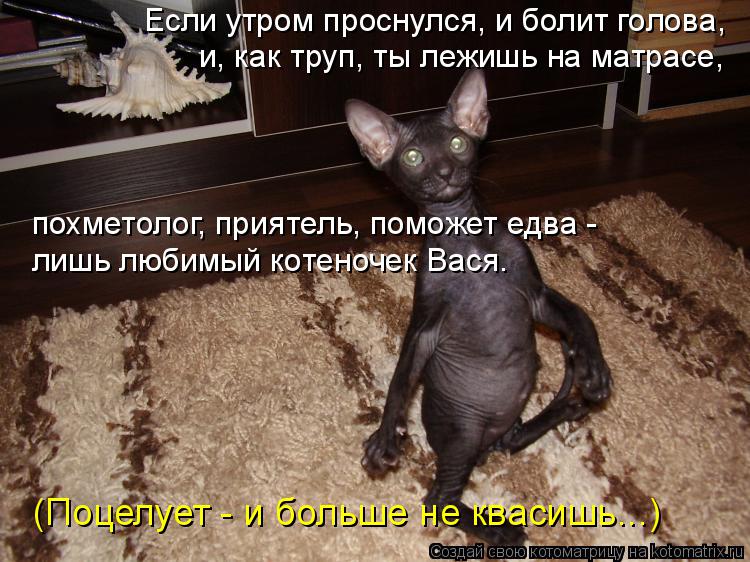 Котоматрица: Если утром проснулся, и болит голова,  и, как труп, ты лежишь на матрасе,  похметолог, приятель, поможет едва -  лишь любимый котеночек Вася. (По