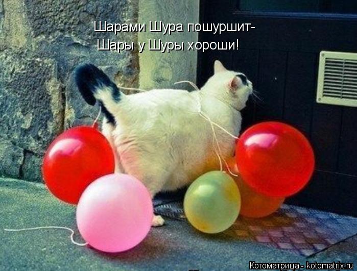 Шарами Шура пошуршит- Шары у Шуры хороши!... Котоматрица: Шарами Шура пошуршит- Шары у Шуры хороши!