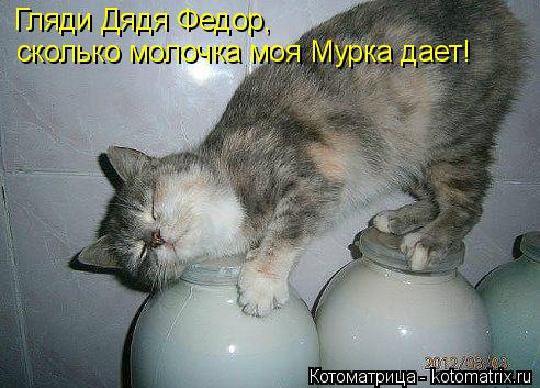Гляди Дядя Федор, сколько молочка моя Мурка дает!... Котоматрица: Гляди Дядя Федор, сколько молочка моя Мурка дает!