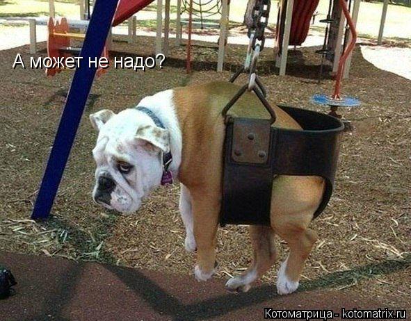 Котоматрица: А может не надо?