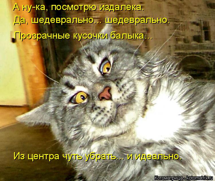 А ну-ка, посмотрю издалека. Да, шедеврально... шедеврально. Прозрачные кусочки балыка... Из центра чу... Котоматрица: А ну-ка, посмотрю издалека. Да, шедеврально... шедеврально. Прозрачные кусочки балыка... Из центра чуть убрать... и идеально.