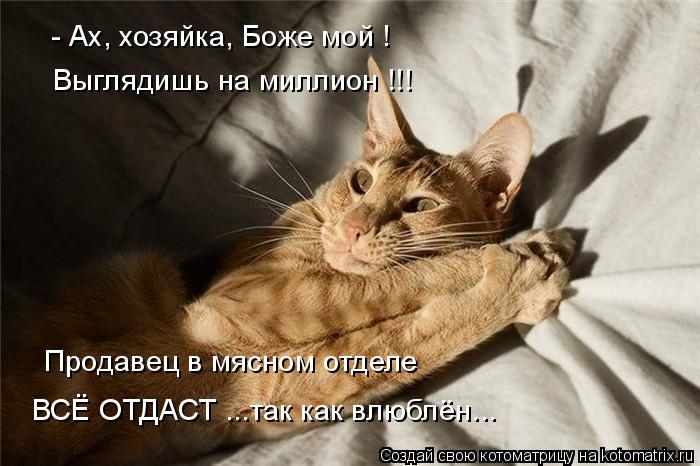 Котоматрица: - Ах, хозяйка, Боже мой ! Выглядишь на миллион !!! Продавец в мясном отделе ВСЁ ОТДАСТ ...так как влюблён...