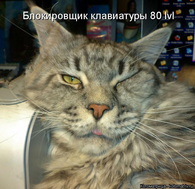 Котоматрица: Блокировщик клавиатуры 80 lvl