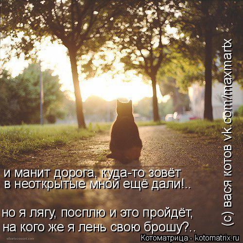 и манит дорога, куда-то зовёт в неоткрытые мной ещё дали!.. на кого же я лень свою брошу?.. но я лягу... Котоматрица: и манит дорога, куда-то зовёт в неоткрытые мной ещё дали!.. на кого же я лень свою брошу?.. но я лягу, посплю и это пройдёт, (с) вася котов vk.com/maxmart