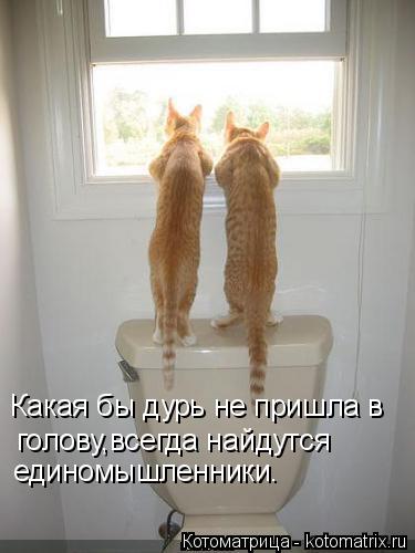 Котоматрица: Какая бы дурь не пришла в  голову,всегда найдутся единомышленники.
