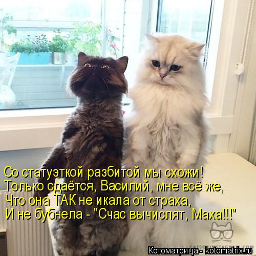 Котоматрица: Со статуэткой разбитой мы схожи! Только сдаётся, Василий, мне всё же, Что она ТАК не икала от страха, И не бубнела - "Счас вычислят, Маха!!!"