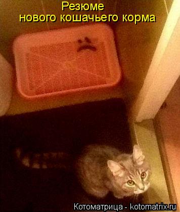 Котоматрица: Резюме  нового кошачьего корма
