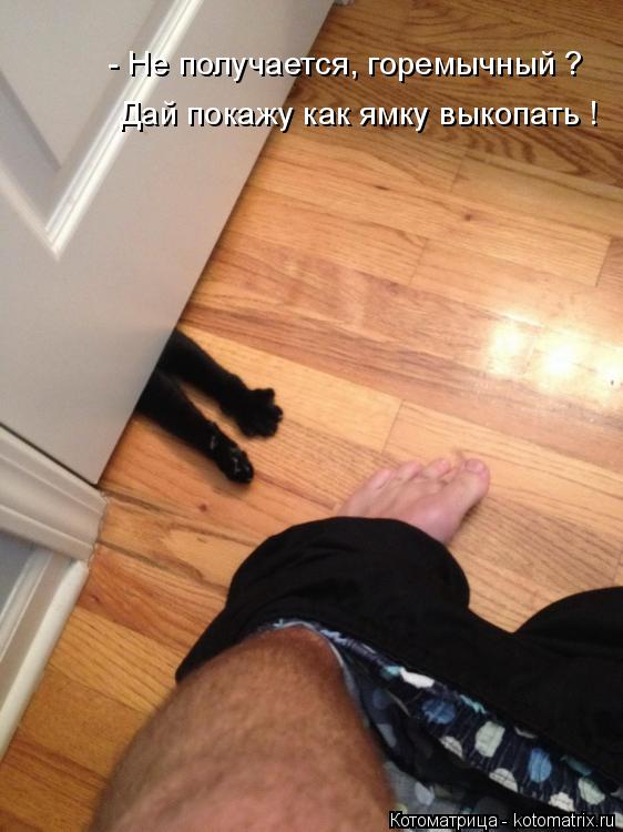 - Не получается, горемычный ? Дай покажу как ямку выкопать !... Котоматрица: - Не получается, горемычный ? Дай покажу как ямку выкопать !