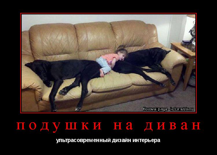 Котоматрица: подушки на диван ультрасовременный дизайн интерьера