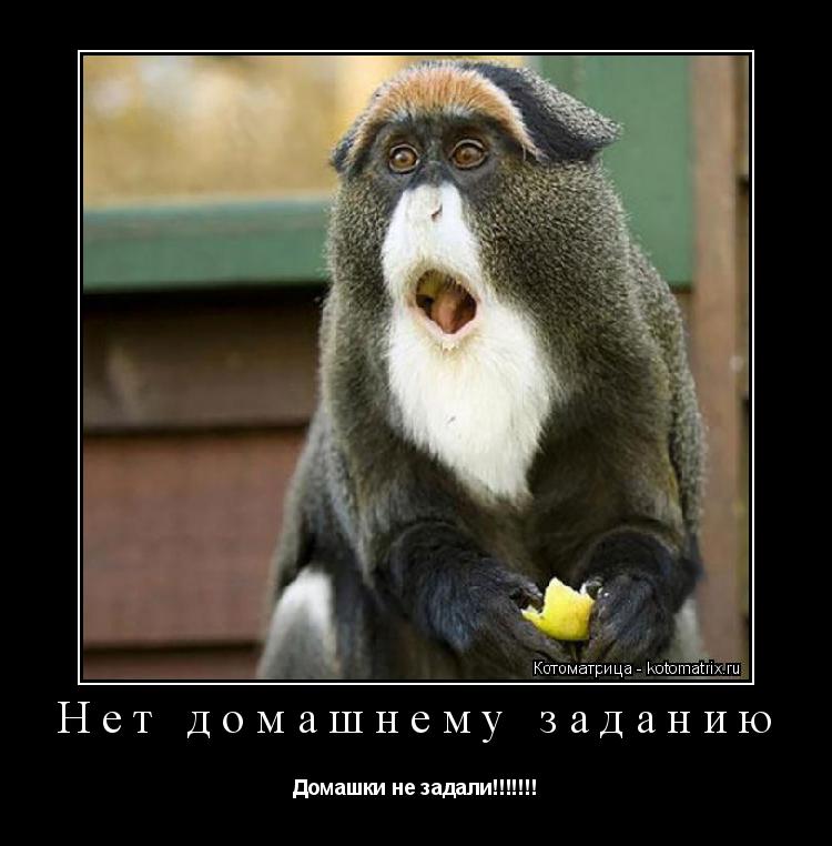 Котоматрица: Нет домашнему заданию Домашки не задали!!!!!!!