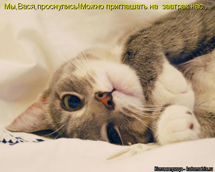 Котоматрица: Мы,Вася,проснулись!Можно приглашать на  завтрак нас...