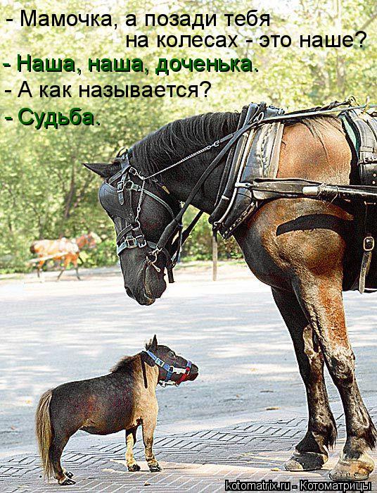 - Мамочка, а позади тебя на колесах - это наше? - Наша, наша, доченька. - А как называется? - Судьба... Котоматрица: - Мамочка, а позади тебя на колесах - это наше? - Наша, наша, доченька. - А как называется? - Судьба.