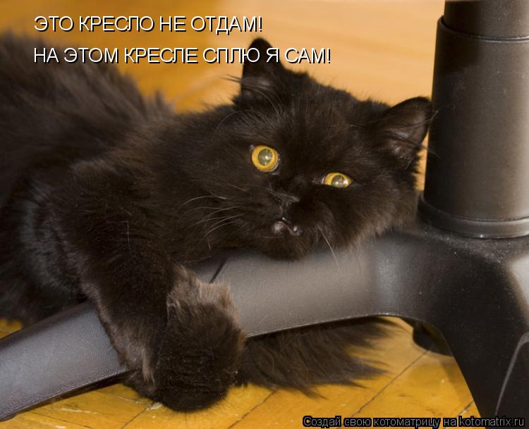 ЭТО КРЕСЛО НЕ ОТДАМ! НА ЭТОМ КРЕСЛЕ СПЛЮ Я САМ!... Котоматрица: ЭТО КРЕСЛО НЕ ОТДАМ! НА ЭТОМ КРЕСЛЕ СПЛЮ Я САМ!