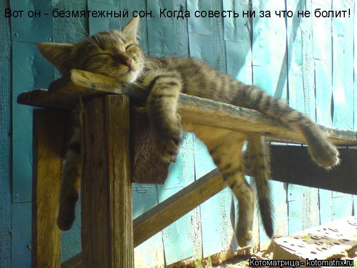 Вот он - безмятежный сон. Когда совесть ни за что не болит!... Котоматрица: Вот он - безмятежный сон. Когда совесть ни за что не болит!