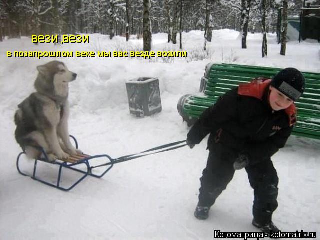Котоматрица: вези вези в позапрошлом веке мы вас везде возили ,