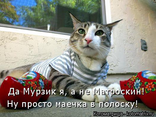 Котоматрица: Да Мурзик я, а не Матроскин! Ну просто маечка в полоску!