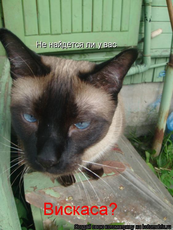 Котоматрица: Не найдётся ли у вас Вискаса?
