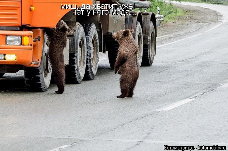 Котоматрица: миш, да хватит уже! нет у него меда...