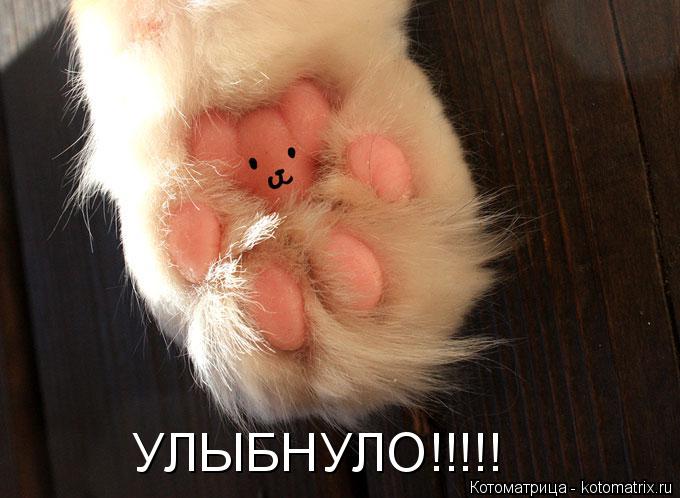 Котоматрица: УЛЫБНУЛО!!!!!