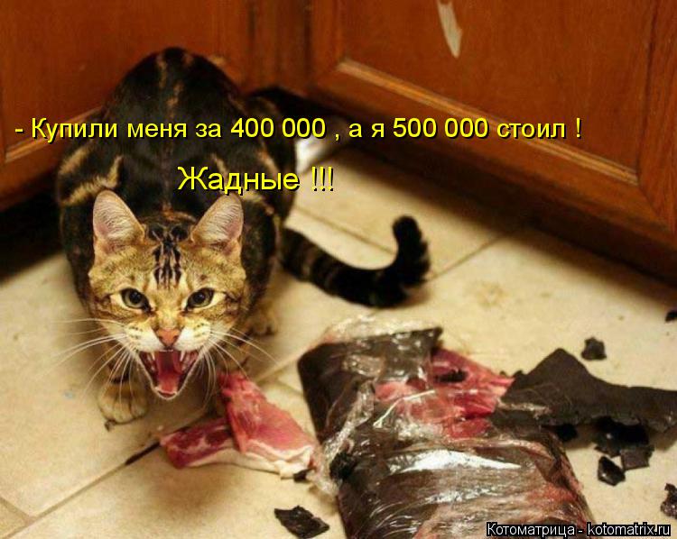 - Купили меня за 400 000 , а я 500 000 стоил ! Жадные !!!... Котоматрица: - Купили меня за 400 000 , а я 500 000 стоил ! Жадные !!!