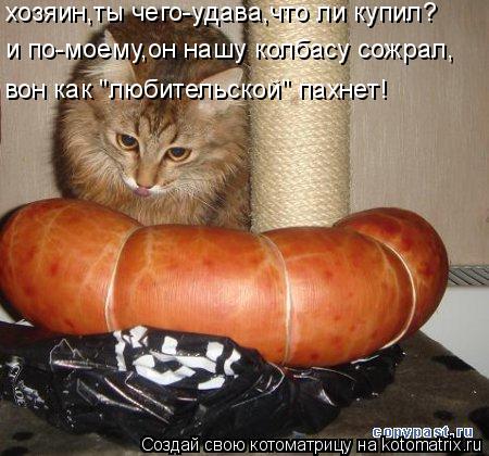 хозяин,ты чего-удава,что ли купил? и по-моему,он нашу колбасу сожрал, вон как "любительской" пахнет!... Котоматрица: хозяин,ты чего-удава,что ли купил? и по-моему,он нашу колбасу сожрал, вон как "любительской" пахнет!
