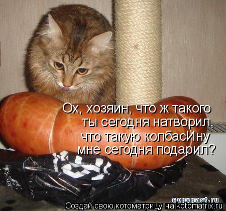 Ох, хозяин, что ж такого ты сегодня натворил, что такую колбасИну мне сегодня подарил?... Котоматрица: Ох, хозяин, что ж такого ты сегодня натворил, что такую колбасИну мне сегодня подарил?