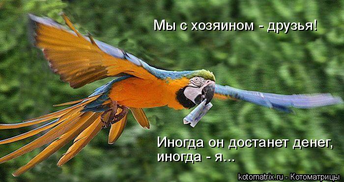 Иногда он достанет денег, иногда - я... Мы с хозяином - друзья!... Котоматрица: Иногда он достанет денег, иногда - я... Мы с хозяином - друзья!