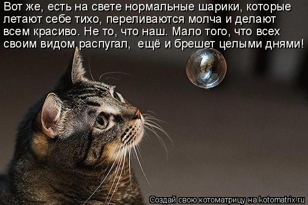 Вот же, есть на свете нормальные шарики, которые летают себе тихо, переливаются молча и делают всем к... Котоматрица: Вот же, есть на свете нормальные шарики, которые летают себе тихо, переливаются молча и делают всем красиво. Не то, что наш. Мало того, что все