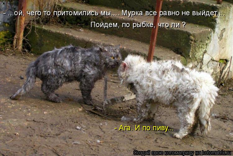 - ...ой, чего то притомились мы.... Мурка все равно не выйдет.... Пойдем, по рыбке, что ли ? - Ага. И... Котоматрица: - ...ой, чего то притомились мы.... Мурка все равно не выйдет.... Пойдем, по рыбке, что ли ? - Ага. И по пиву...
