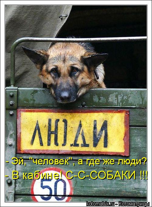 - Эй, "человек", а где же люди? - В кабине! С-С-СОБАКИ !!!... Котоматрица: - Эй, "человек", а где же люди? - В кабине! С-С-СОБАКИ !!!