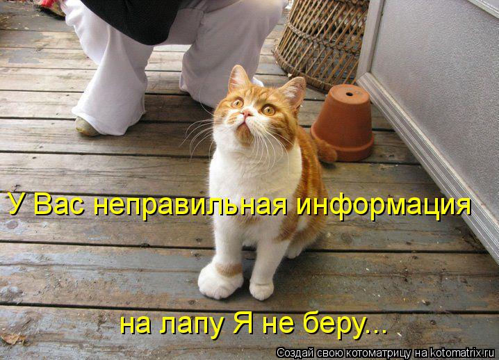 Котоматрица: У Вас неправильная информация  на лапу Я не беру...