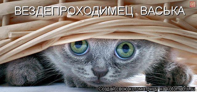 Котоматрица: ВЕЗДЕПРОХОДИМЕЦ  ВАСЬКА